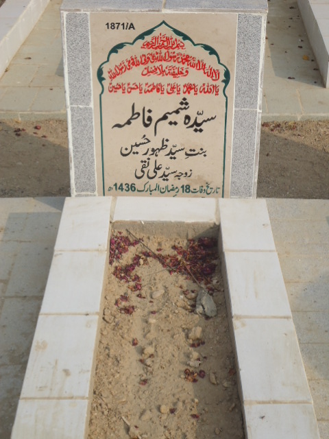 11871 – Syeda Shamim Fatima