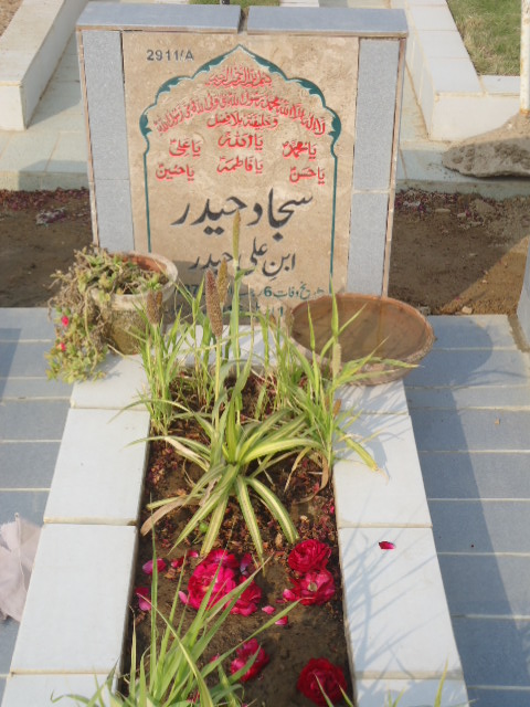 12911 – Sajjad Haider