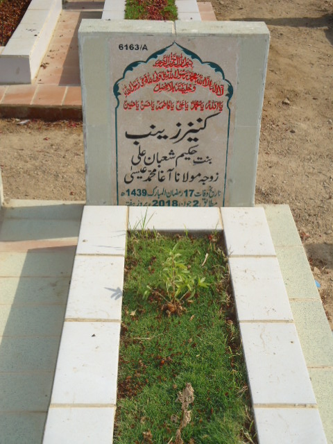 16163 – Kaneez Zainab