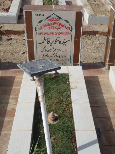 13495 – Syeda Tanveer Fatima