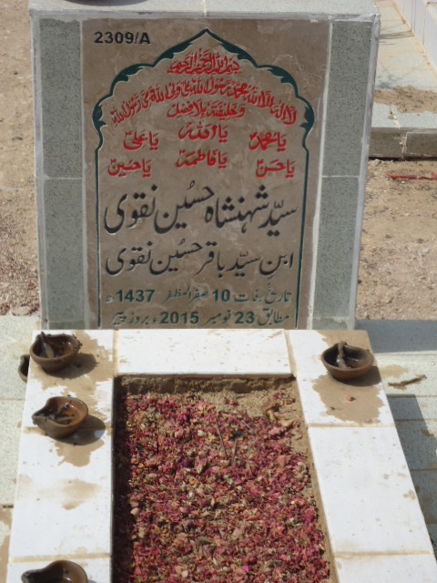 12309 – Syed Shahinshah Hussain Naqvi