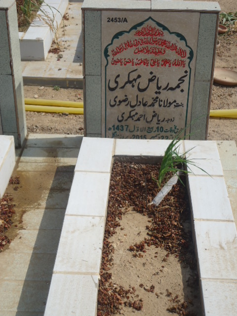 12453 – Syed Mustafa Hussain Rizvi