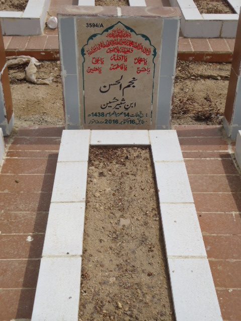13594 – Najmul Hassan