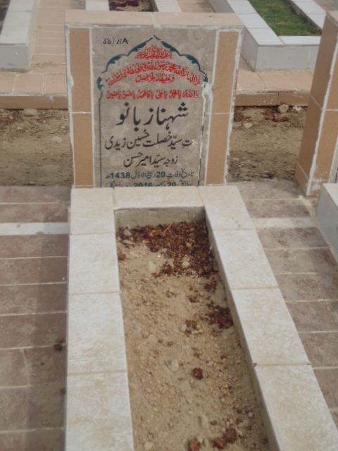 13872 – Shenaz Bano