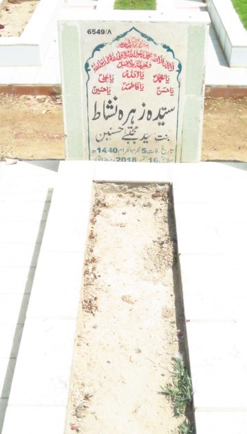 16549 – Syeda Zehra Nishat