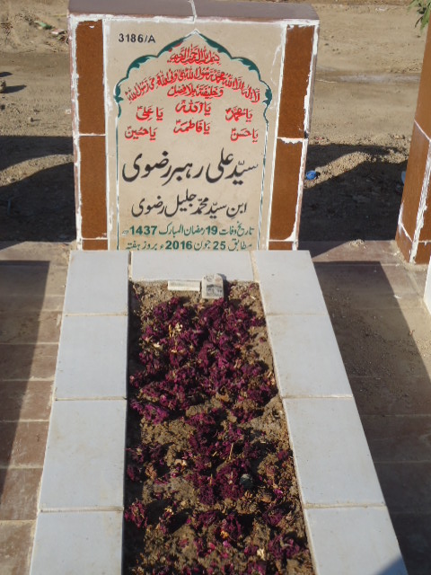 13186 – Syed Ali Rehber Rizvi