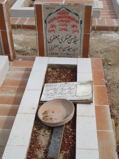 15073 – Syed Hassan Askari Jaffery