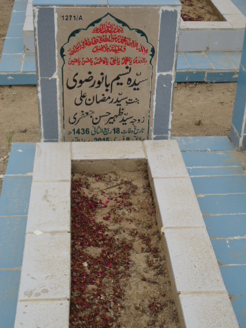 11271 – Syeda Naseem Bano Rizvi