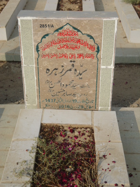 12851 – Syeda Qamar Zehra