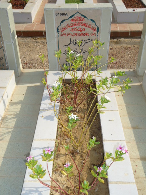 16108 – Mushtari Fatima