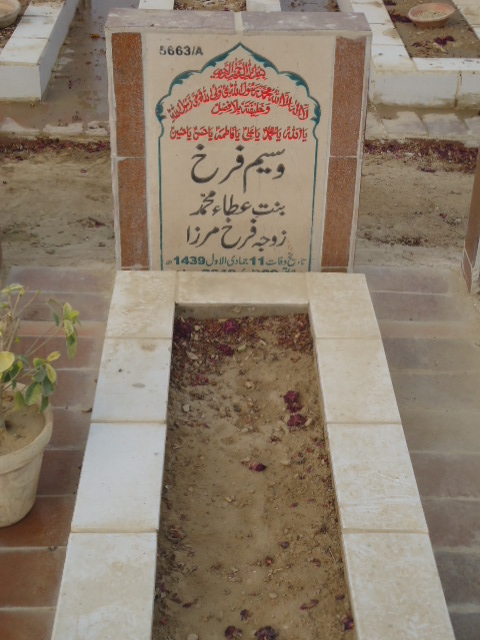 15663 – Waseem Farrukh