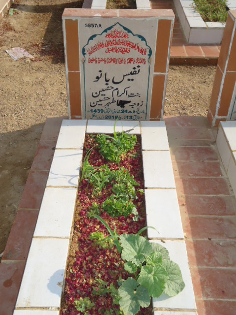 15857 – Nafees Bano