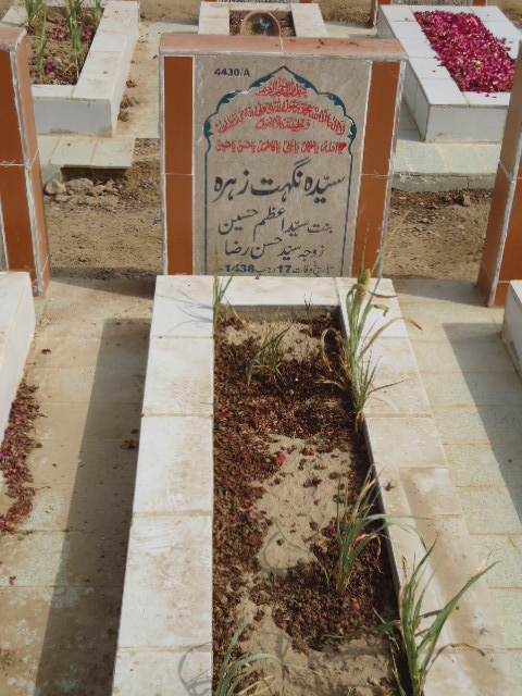 14430 – Syeda Nighat Zehra