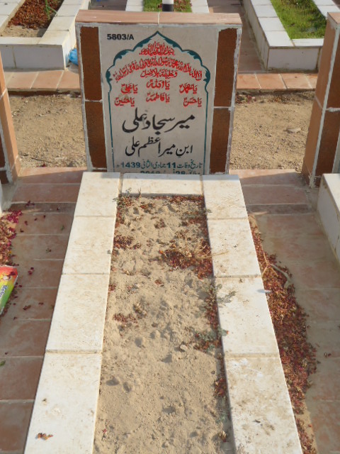 15803 – Mir Sajjad Ali