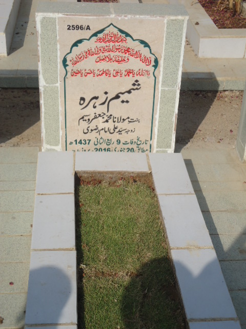 12596 – Shamim Zehra