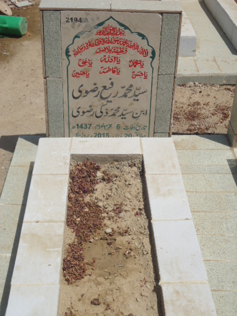 12194 – Syed Muhammad Rafie Rizvi