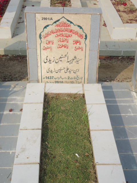 12901 – Syed Shabhe Ul Hasnain Zaidi