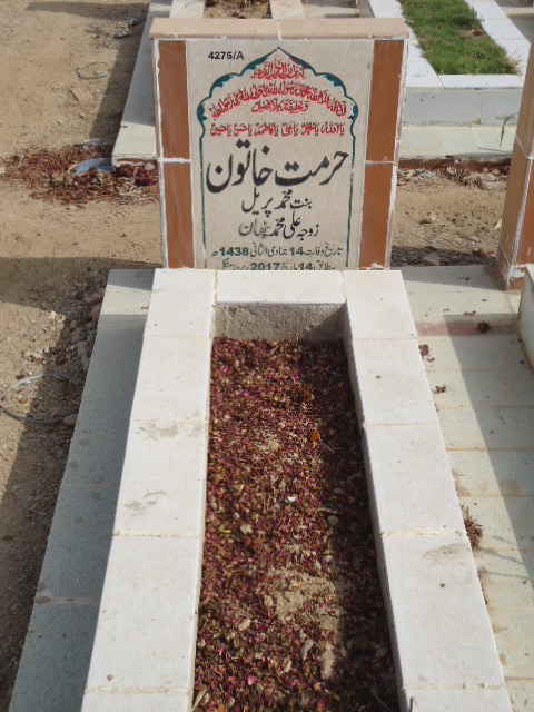14276 – Hurmat Khatoon