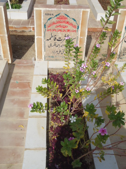 15284 – Syeda Ishrat Fatima