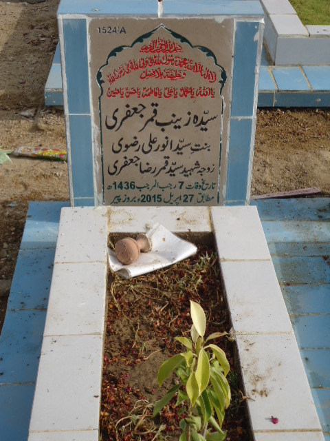 11524 – Syeda Zainab Qamar Jaffery