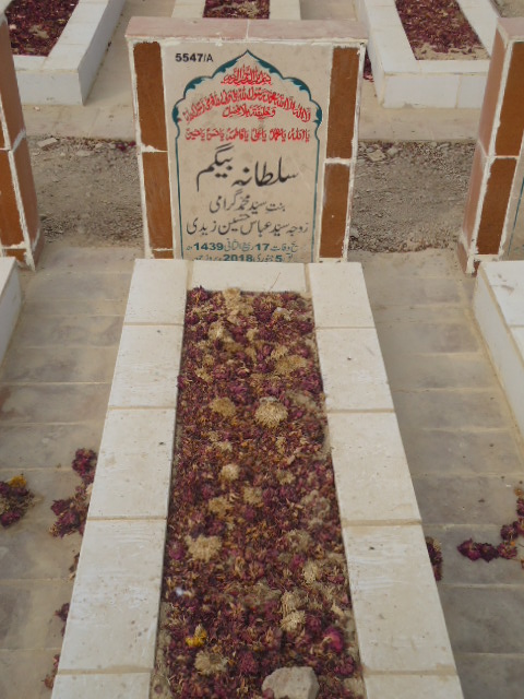 15547 – Sultana Begum