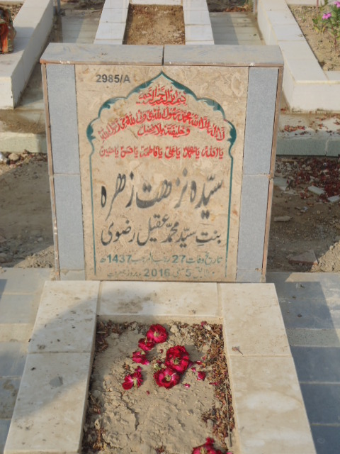 12985 – Syeda Nuzhat Zehra