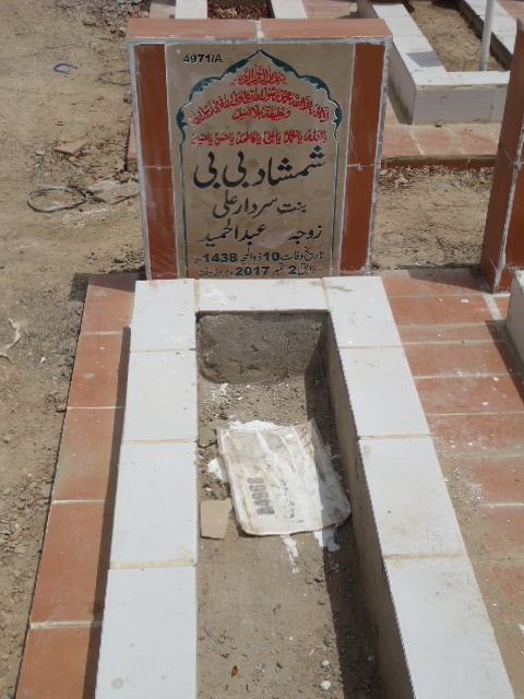 14971 – Shamshad Bibi