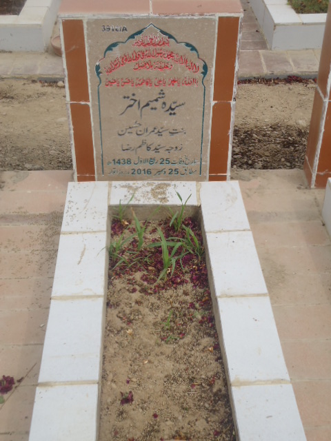 13910 – Syeda Shamim Akhtar