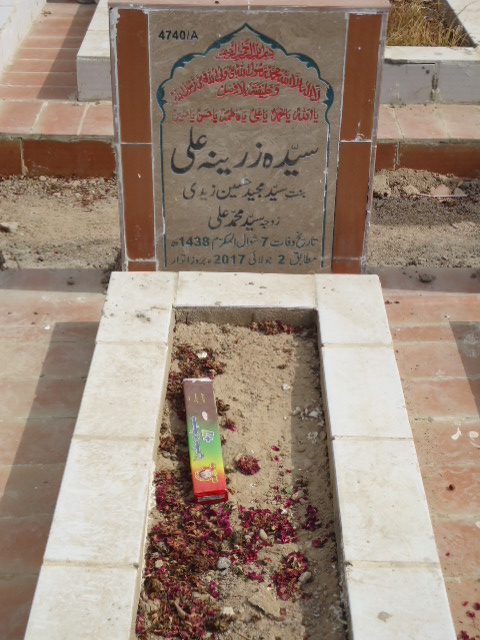 14740 – Syeda Zareena Ali