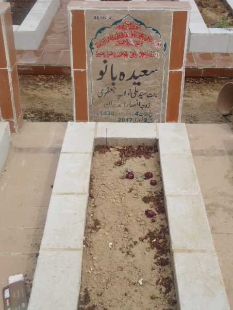 14098 – Saeeda Bano