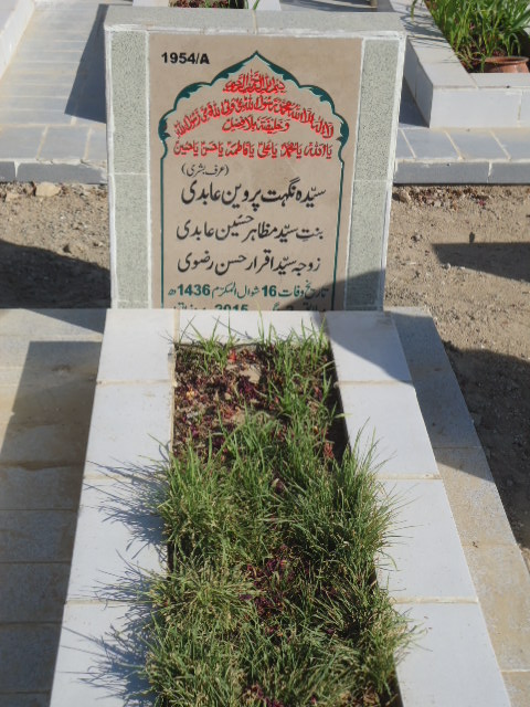 11954 – Syeda Nighat Parveen Abidi