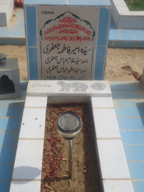 11264 – Syeda Ameer Fatima Jaffery