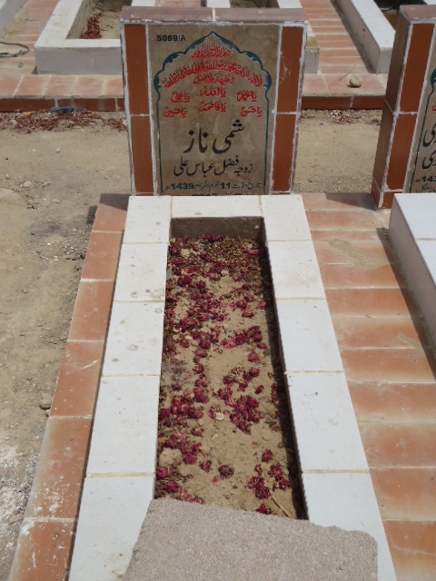 15089 – Shimmi Naz