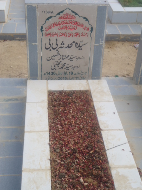 11139 – Syeda Mohdisa Bibi