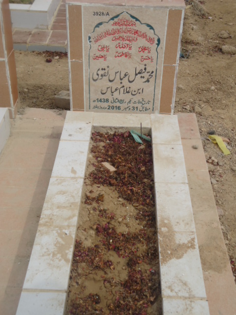 13928 – Muhammad Faisal Abbas Naqvi