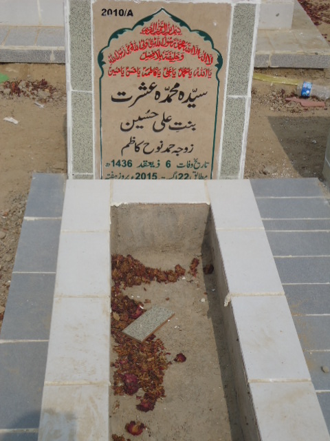 12010 – Syeda Muhammada Ishrat