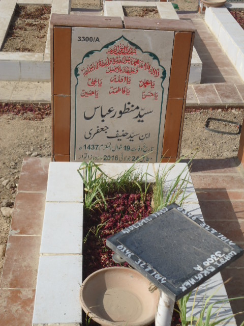 13300 – Syed Manzoor Abbas