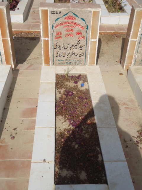 15232 – Syed Nazeer Abbas Zaidi