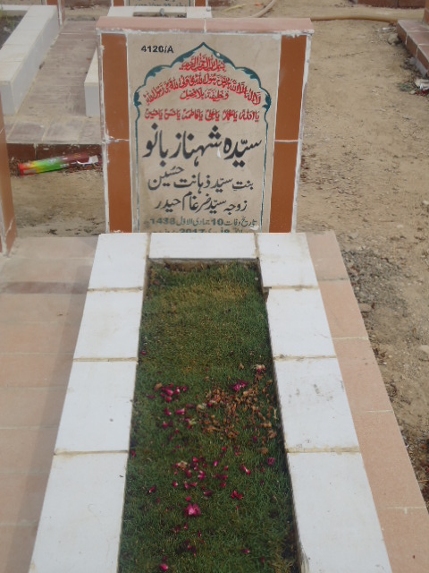 14120 – Syeda Shehnaz Bano
