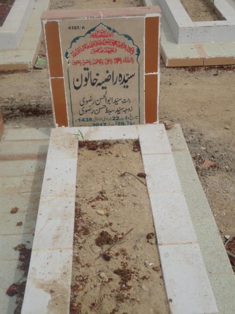 14185 – Syeda Raziya Khatoon