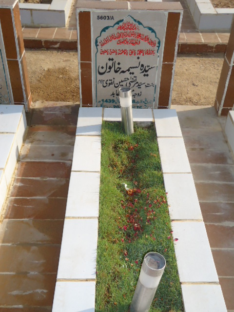 15603 – Syeda Naseema Khatoon