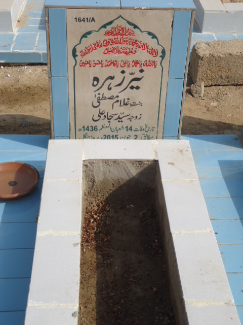 11641 – Nayyer Zehra