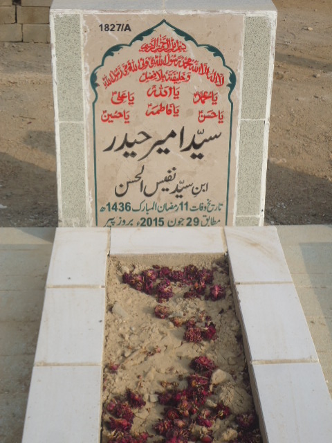 11827 – Syed Ameer Haider