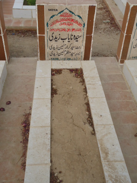 15431 – Syeda Nayab Zaidi