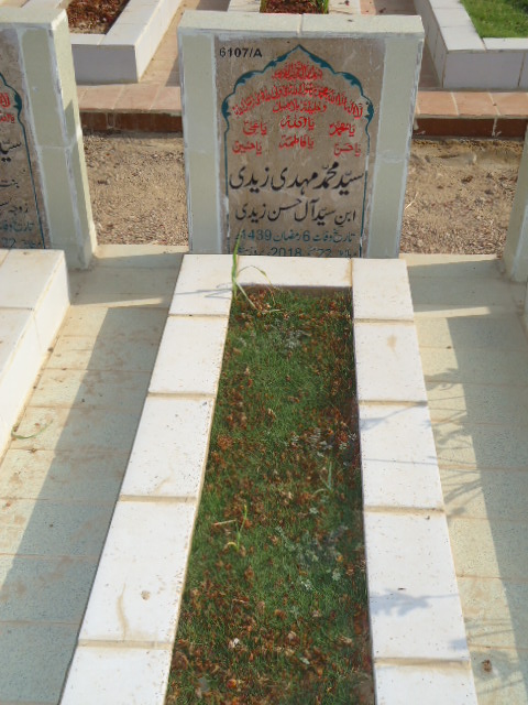 16107 – Syed Muhammad Mehdi Zaidi
