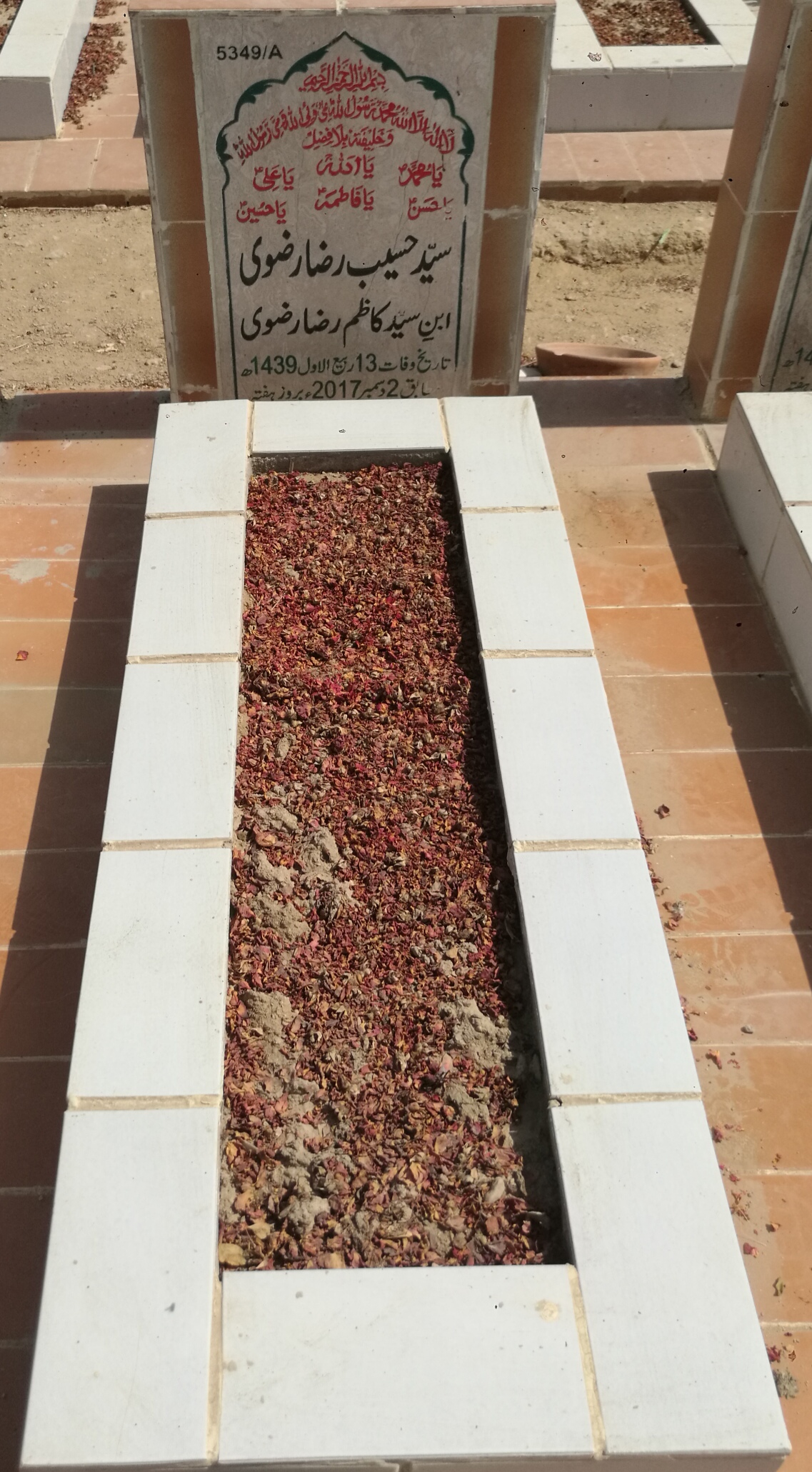 15349 – Syed Haseeb Raza Rizvi
