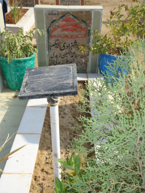 16044 – Syeda Shazadi Begum