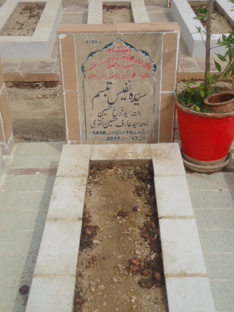 14168 – Syeda Nafees Tabbasum