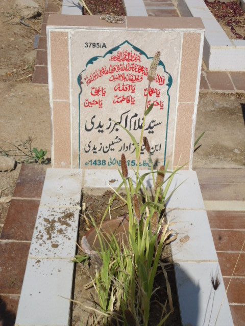 13795 – Syed Ghulam Akbar Zaidi