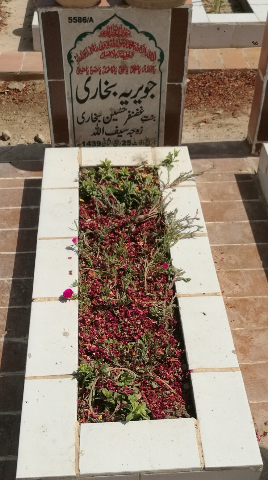 15586 – Javeria Bukhari